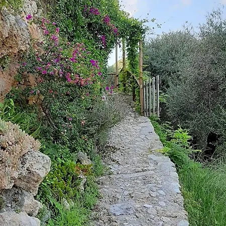 Contrada Bolla